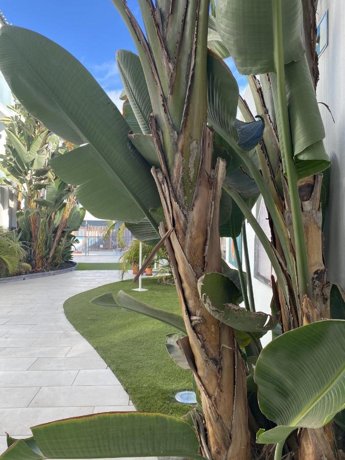 Sun And Surf Stay Corralejo Exterior foto