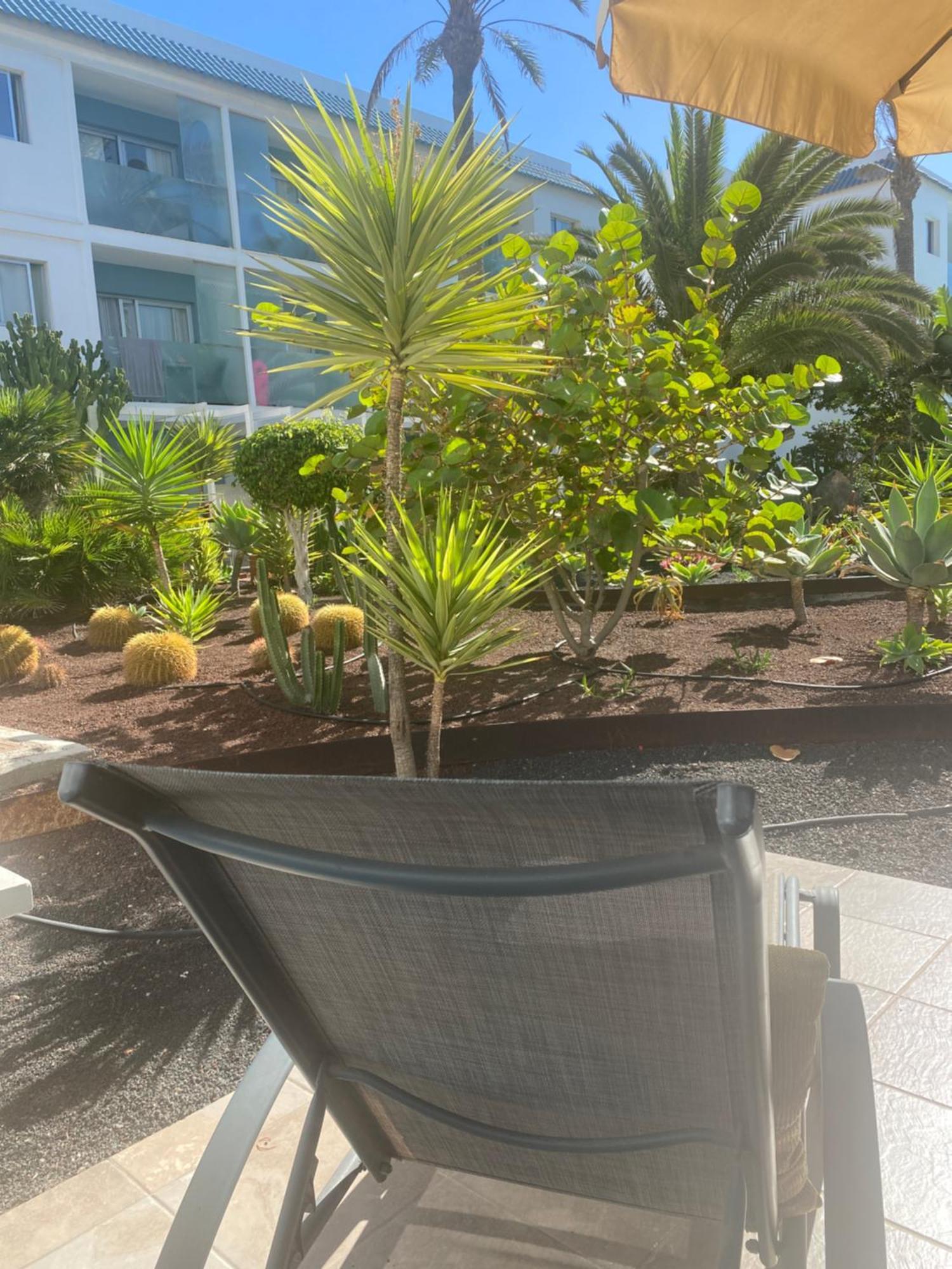 Sun And Surf Stay Corralejo Exterior foto
